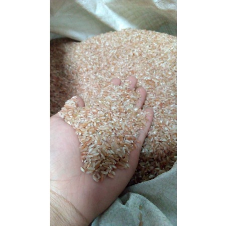 

10liter beras merah untuk diet pulen