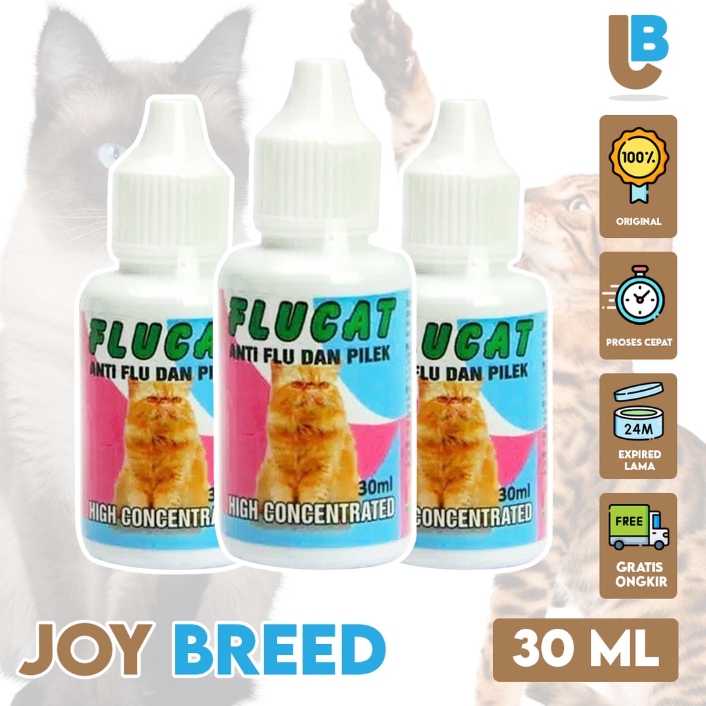 OBAT FLU KUCING TETES FLUCAT 30 ML OBAT ANTI FLU PILEK BELER KUCING