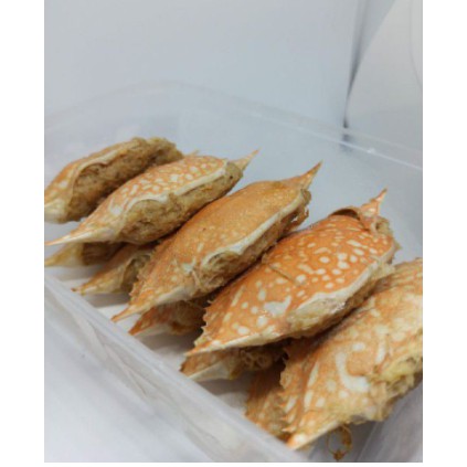 

kepiting /ketam kepiting