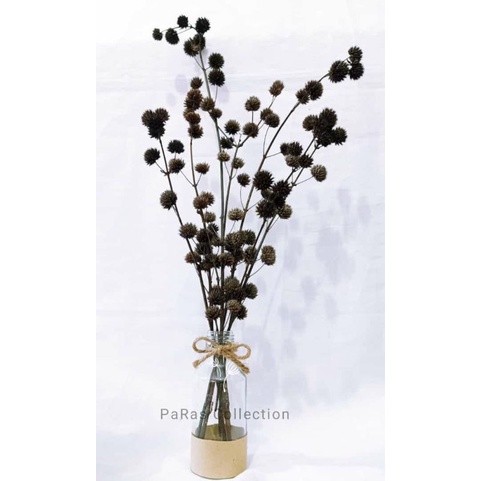 dried flowers aesthetic/bunga pompom/pompom kering