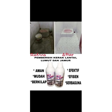 PEMBERSIH KERAK KERAMIK WC