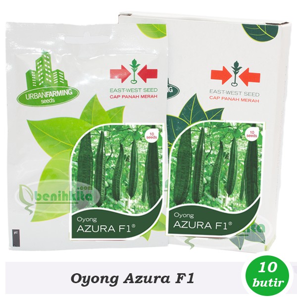 Benih/Bibit Oyong Azura F1 (Cap Panah Merah)