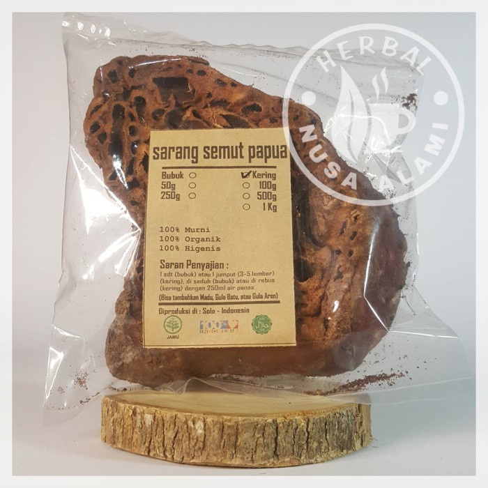 

SARANG SEMUT KERING | PREMIUM | Myrmecodia 100g