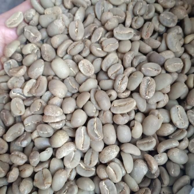 

[ COD ] Green bean Arabika Gayo Full Washed G1 (Premium) HEMAT Kode 1199
