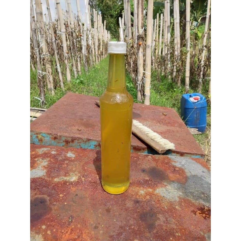 

Madu kaliandra asli kaki gunung bromo