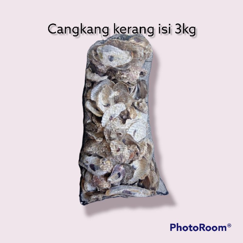 cangkang kerang filter kolam ikan/filter aqurium isi 3 kg + kantong