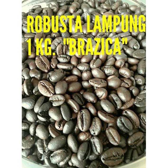 

Kopi Biji Robusta Lampung Merek Brazica "Gold Quality" 1 Kg - Kopi Biji