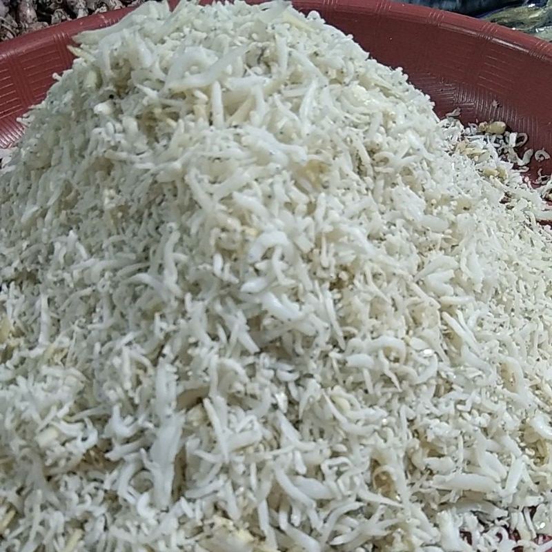 

teri medan