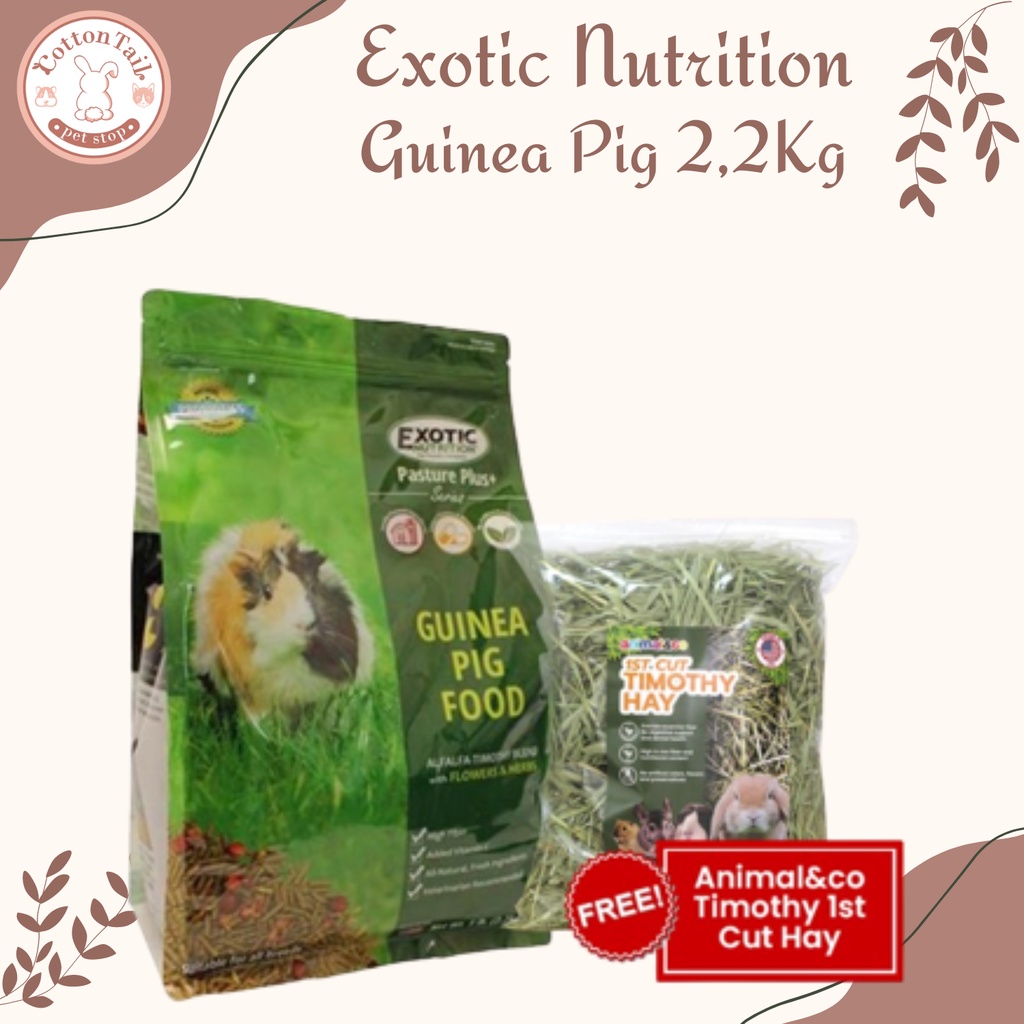 Exotic Nutrition Pasture Plus Makanan Marmut gp cavy Guinea Pig 2.2kg