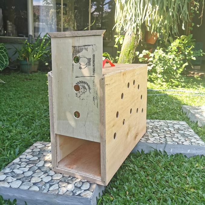 Populer] Box Ayam Adu / Kotak Tas Tempat Ayam / Kandang Ayam Kotak