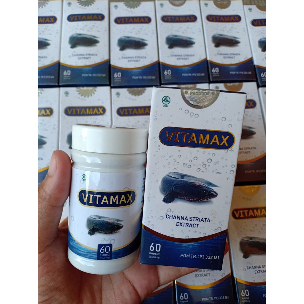 OBAT AMPUH UNTUK LUKA VITAMAX EKSTRAK IKAN GABUS