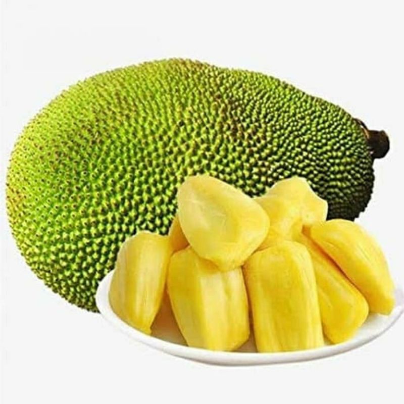 

Buah Nangka