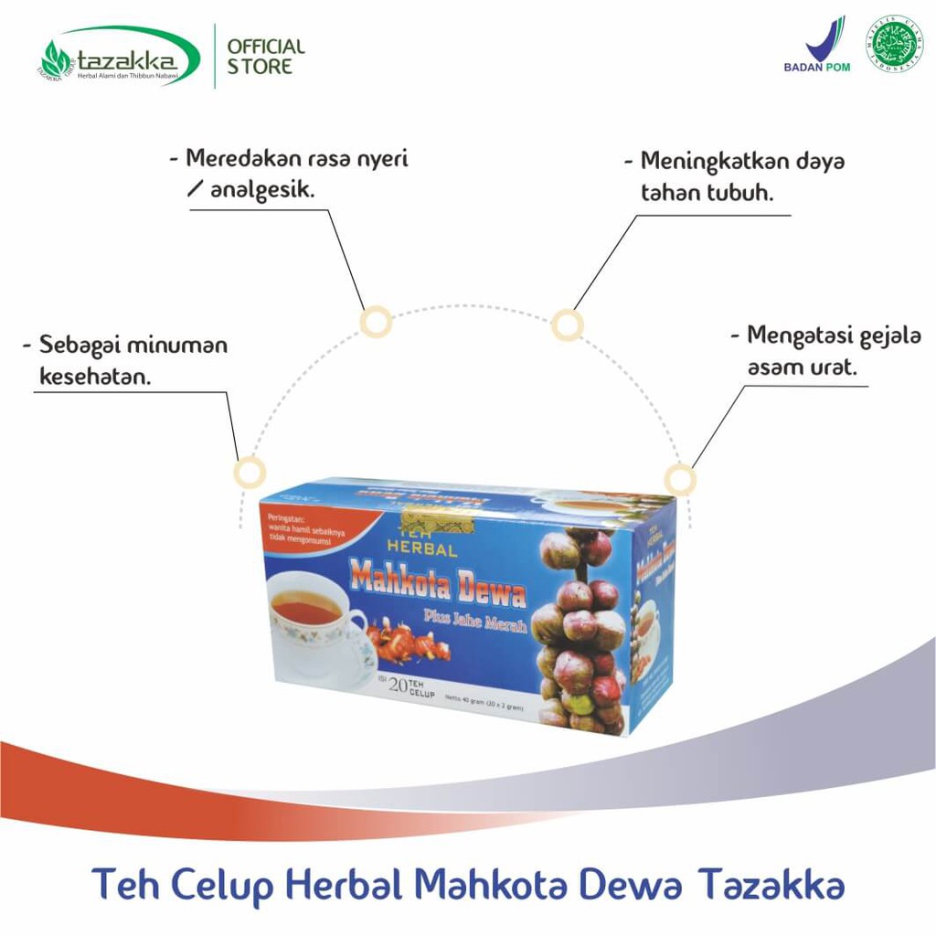 Obat herbal khasiat ampuh mengobati rematik asam urat nyeri sendi pegal linu dengan teh mahkota dewa