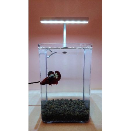 putih lampu aquarium mini lampu soliter lampu aquarium cupang guppy ikan hias lampu led usb lampu aq