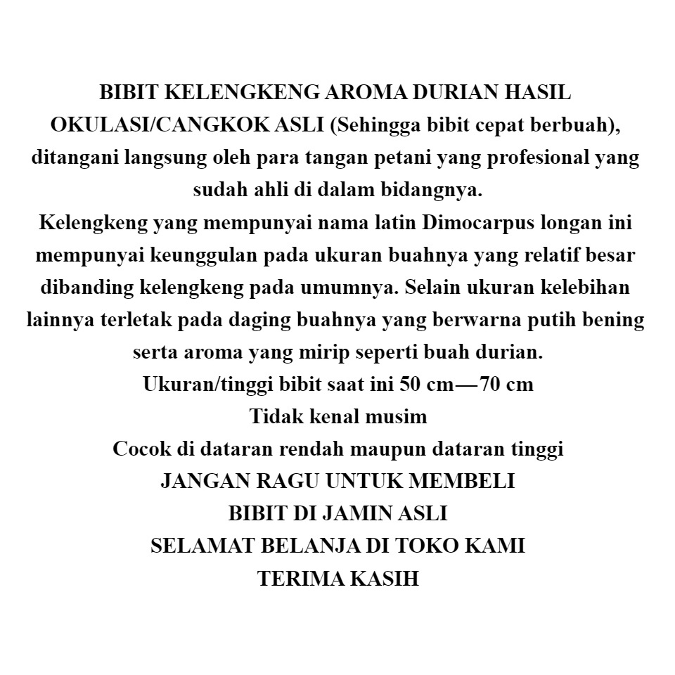 Bibit kelengkeng aroma durian ASLI hasil okulasi/cangkok cepat berbuah bibit kelengkeng berkwalitas bibit kelengkeng aroma durian murah