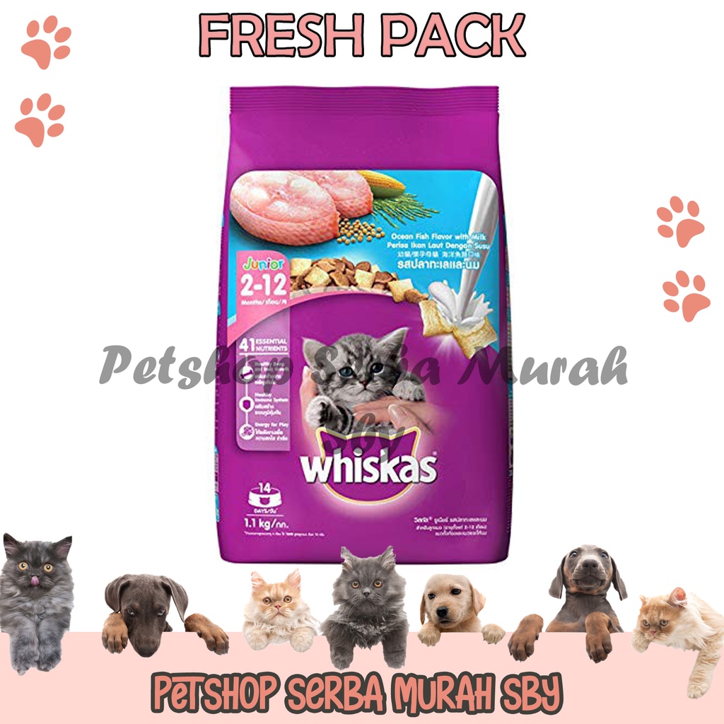 Whiskas Ocean Fish Junior Freshpack 1,1 kg - Makanan Kering Kitten Anak Kucing