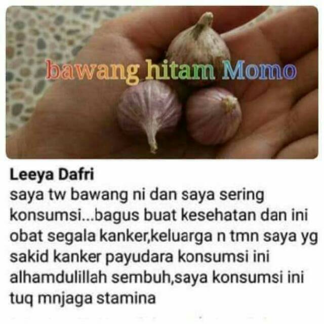 Bawang Hitam Momo Black Garlic Momo Momoidea Bh Momo Shopee Indonesia