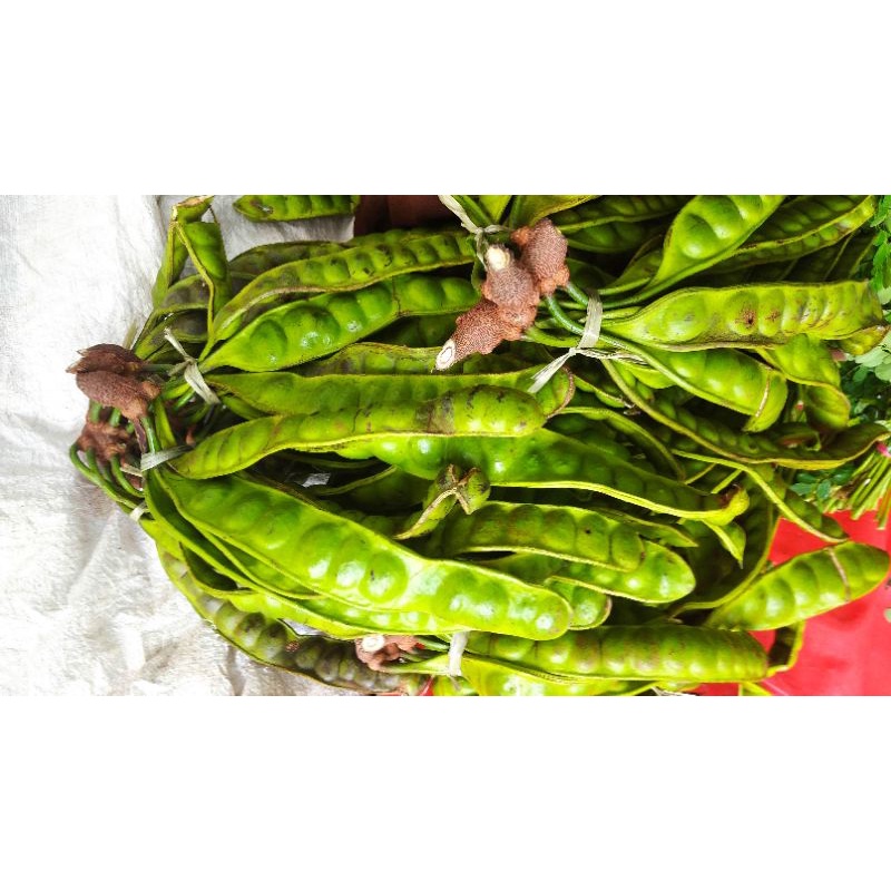 

Petai Pete sayur se ikat