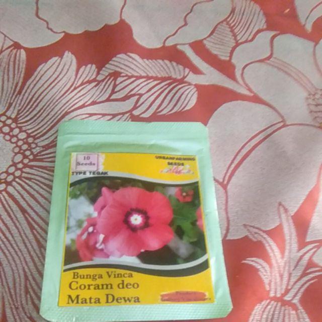 Benih Vinca Coram Deo Mata Dewa Tegak 10 Biji – Kemasan Foil