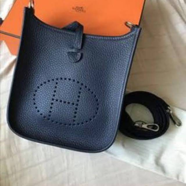 Hermes mini evelyn