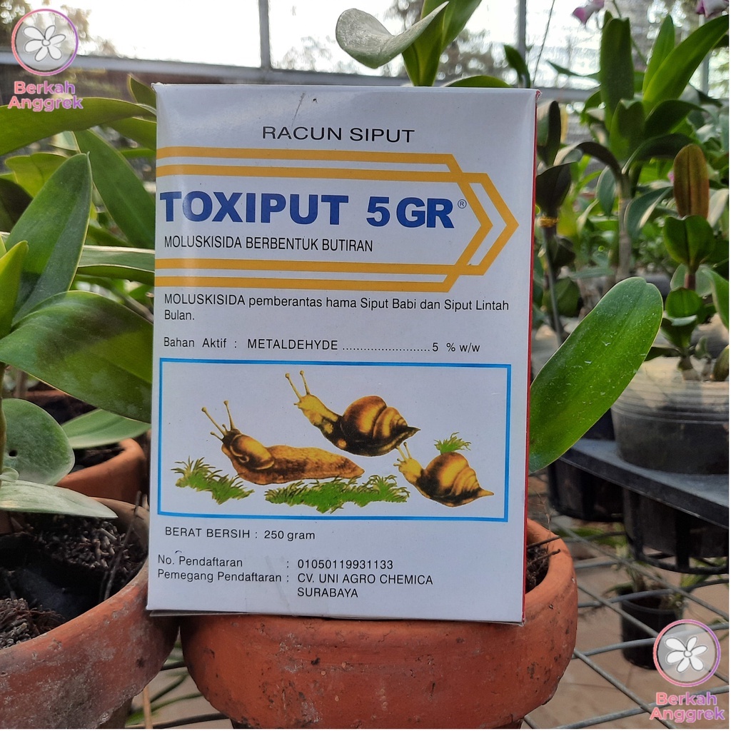 Toxiput 250 Gram Racun Keong Racun Bekicot