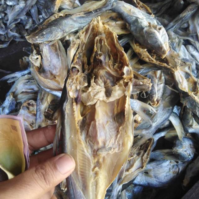 

ikan asin ikan duri belah 500gram