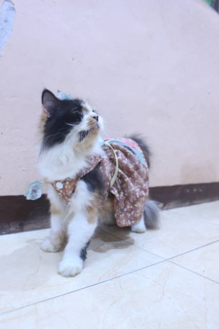 Dress coklat motif bunga-bunga lucu untuk kucing dan anjing / baju kucing murah size S-XL