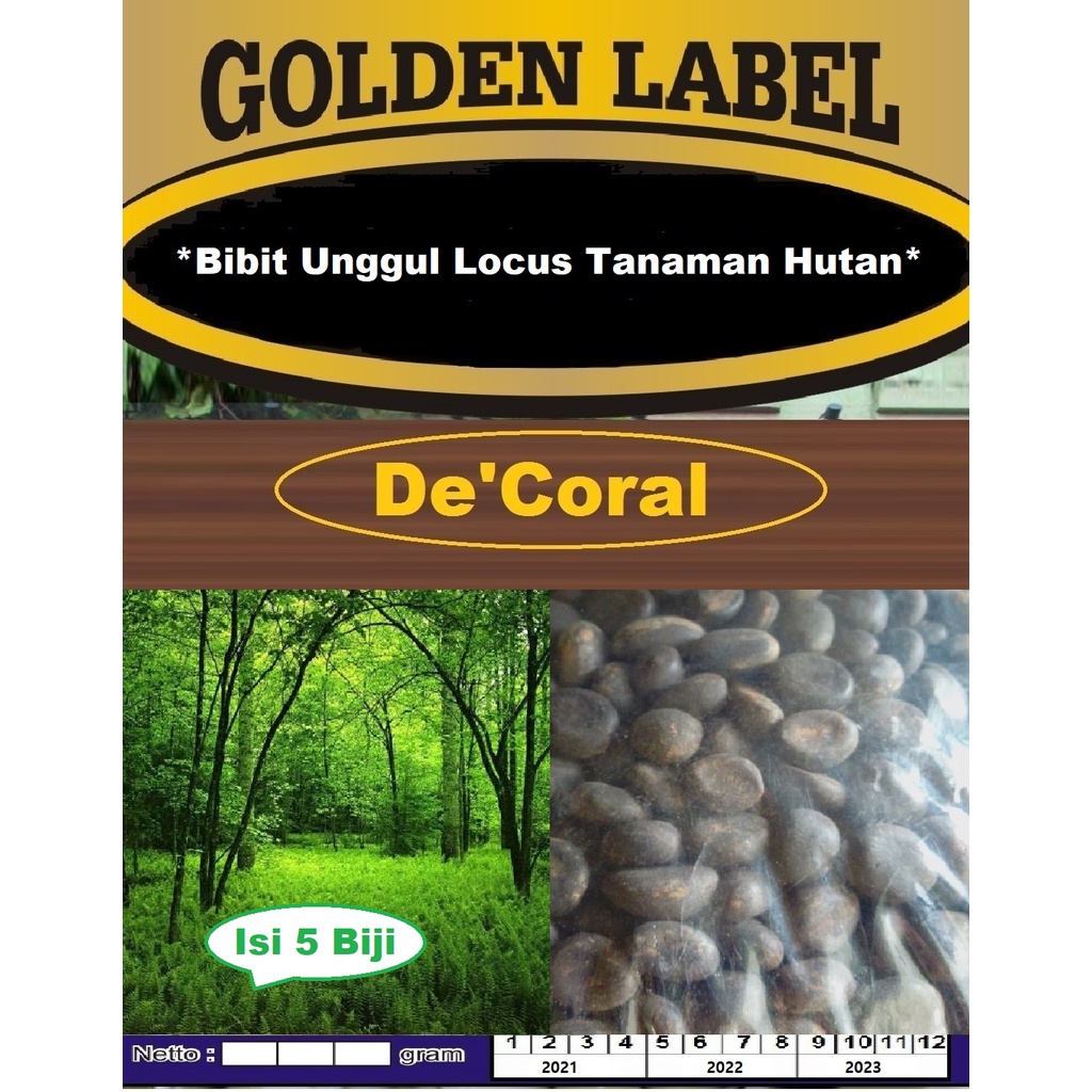 Bibit Unggul Locus Tanaman Hutan | Benih Locus Tanaman Hutan