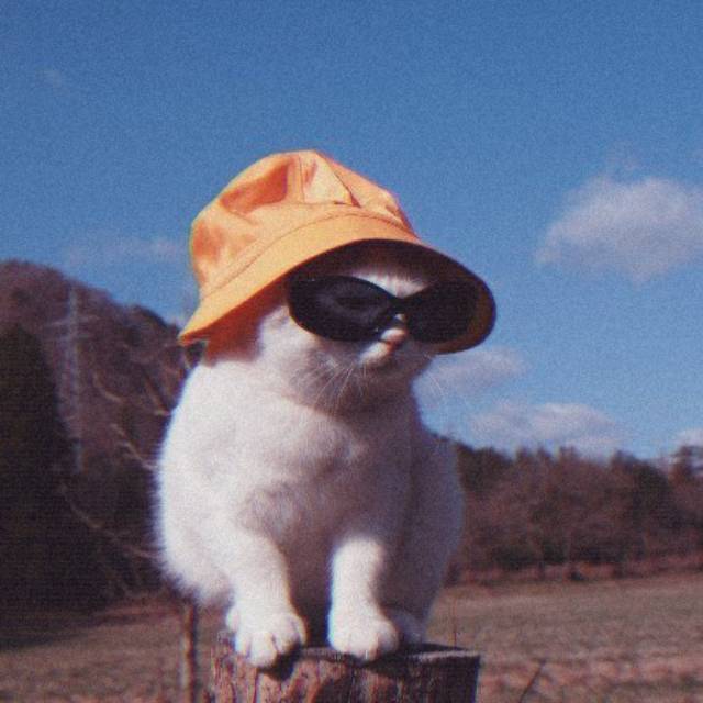 fikriiii_113