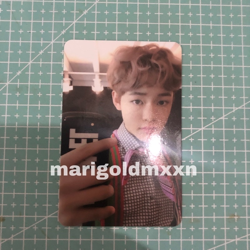 NCT Dream Chenle mfal