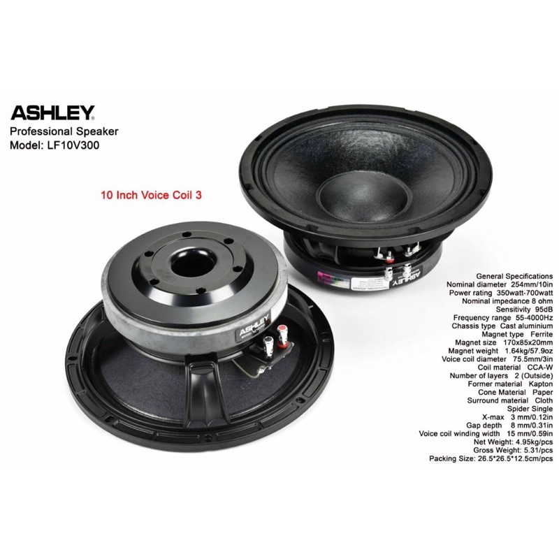Ashley 10V300