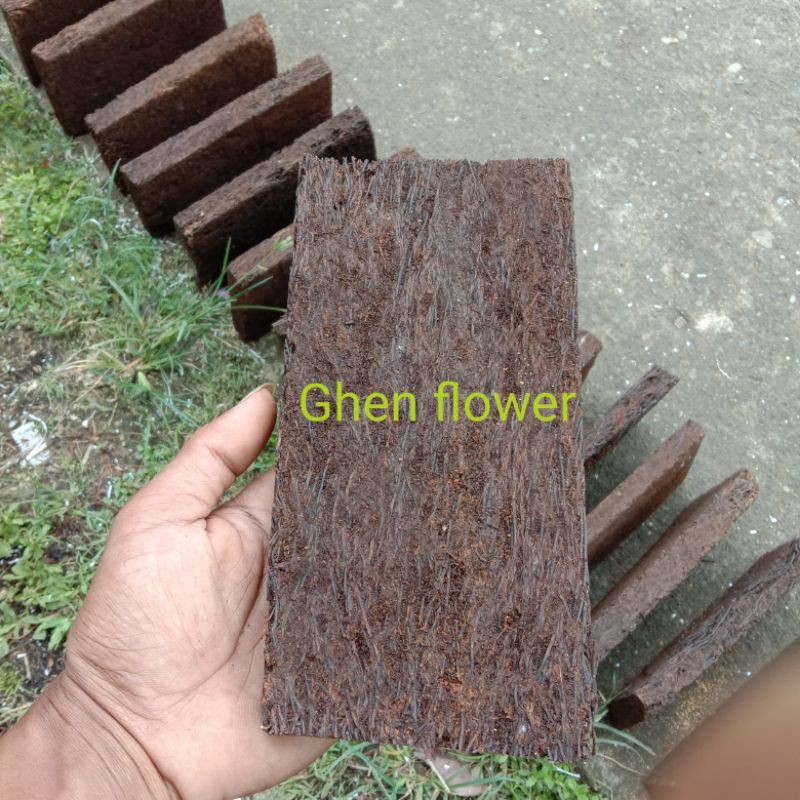 papan pakis/media anggrek papan pakis