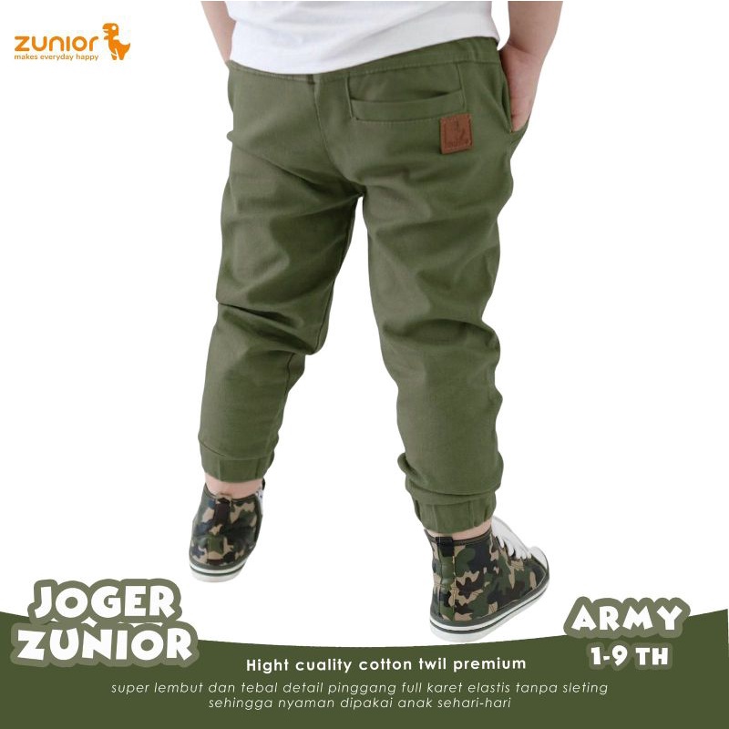 Celana Anak Jogger Panjang Laki-Laki dan Perempuan Zunior Premium 6 Warna 1-12 Tahun