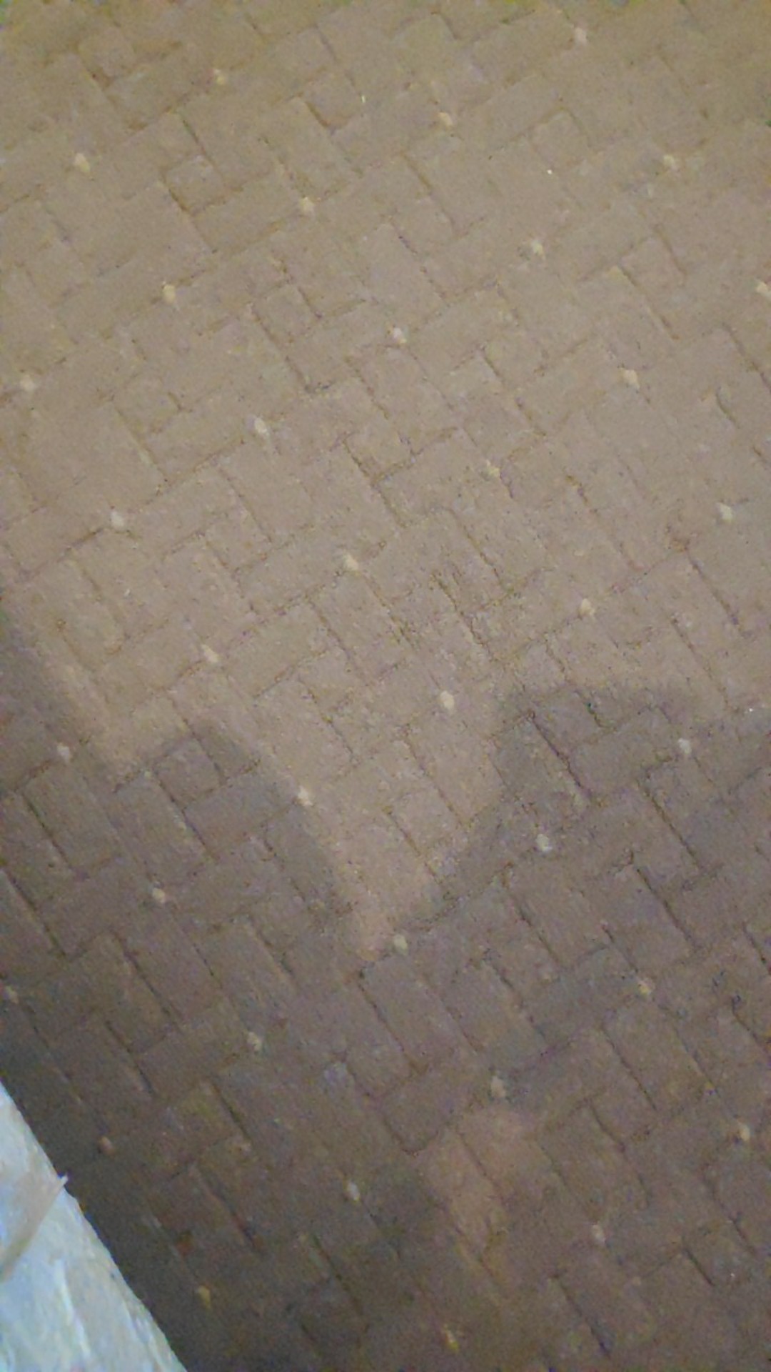 Pipa Pvc Trilliun D 1 1/2 Inch