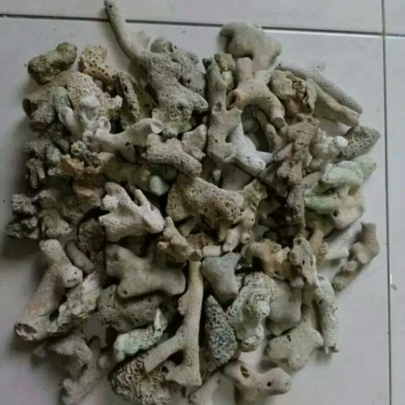 

Batu Karang Jahe
