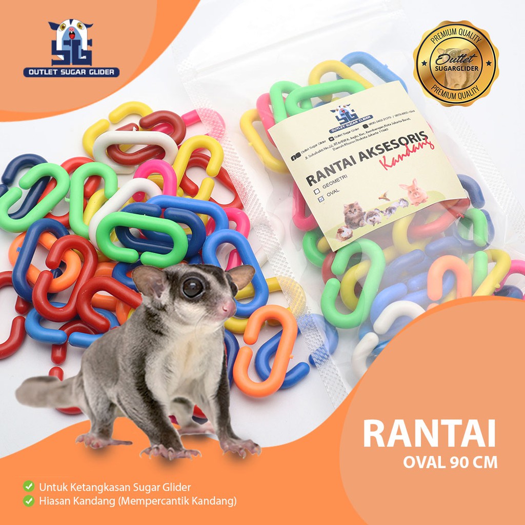 Mainan Sugar Glider Rantai Oval Penghias Kandang