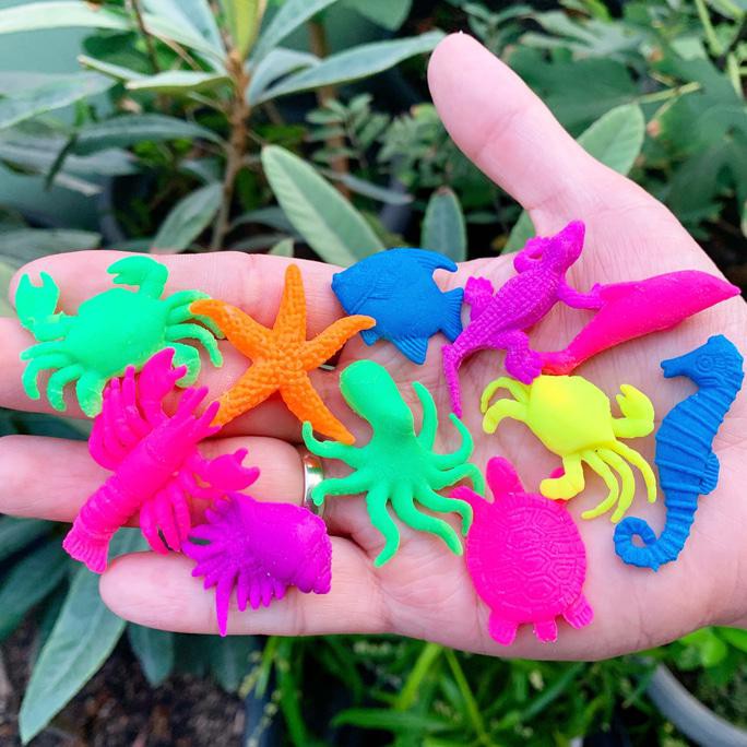 

14.84Ftgrdujh- Jumbo Growing Animal / Binatang Membesar Waterbeads Rendam Air Water -Toko-Boneka.