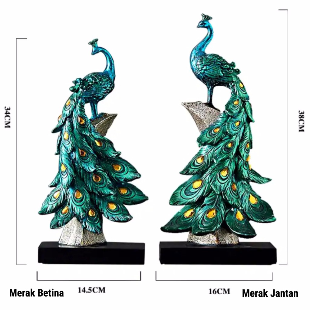 5500 Koleksi Gambar Burung Merak Dua Dimensi HD