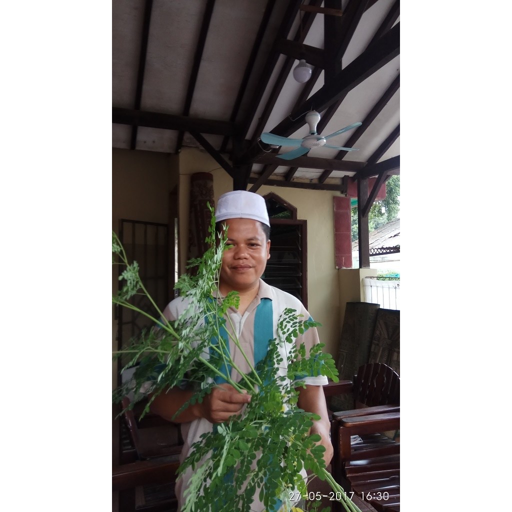 

Daun Kelor Segar 0.5KG