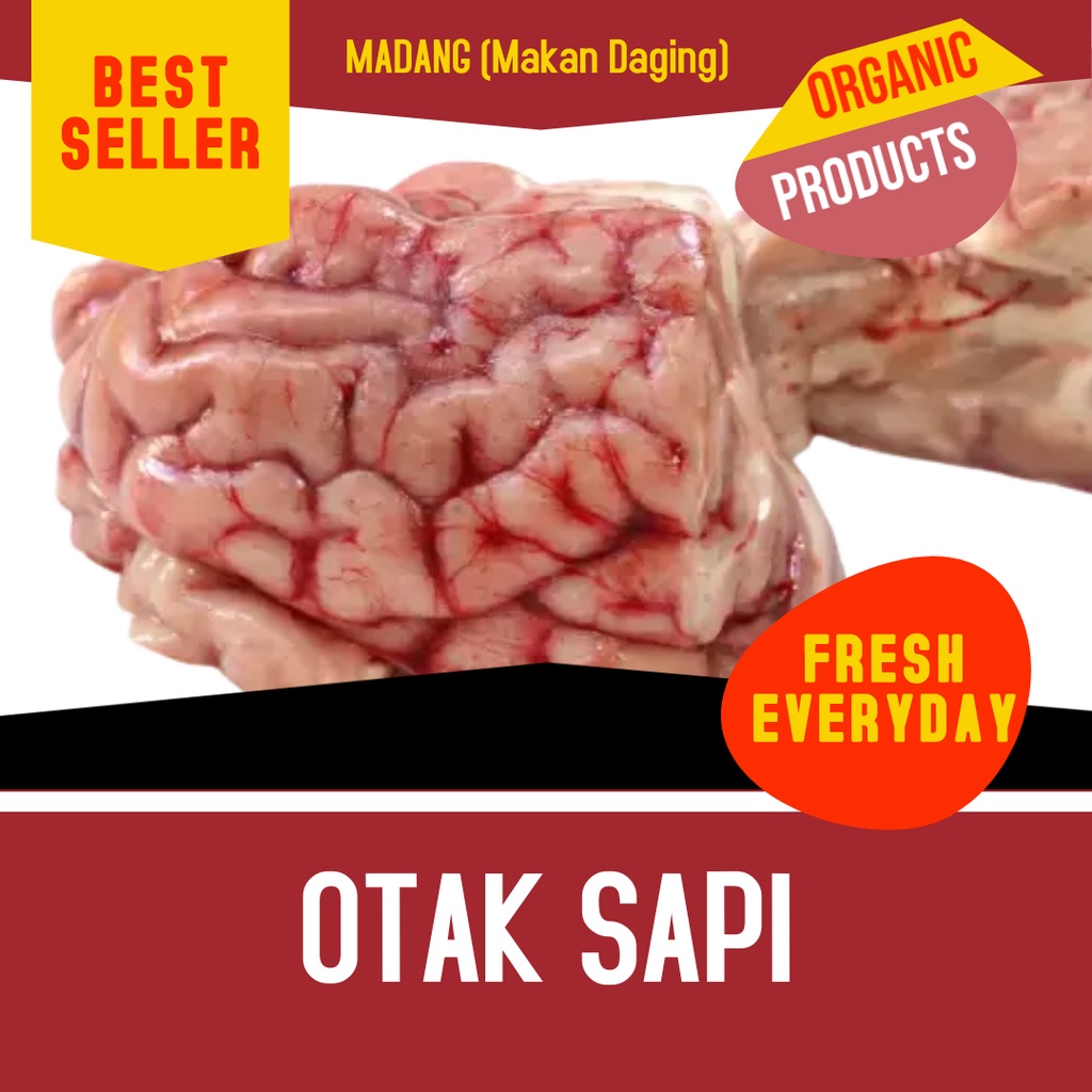 

OTAK SAPI FRESH - BEEF BRAIN - HEAT BRAIN