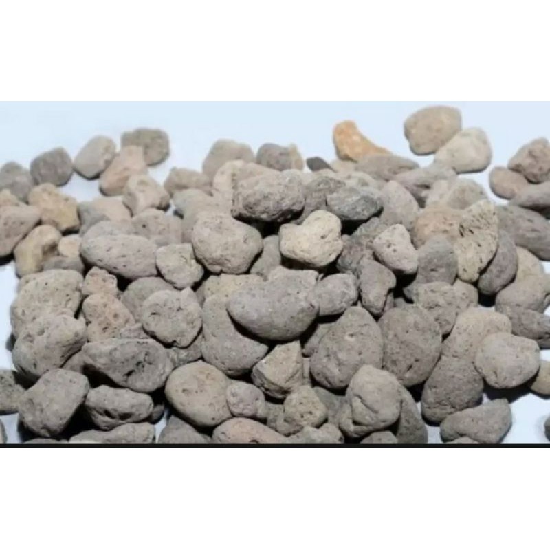 Batu apung pumice 500gram / Media Filter / Rumah bakteri / Bakteri house