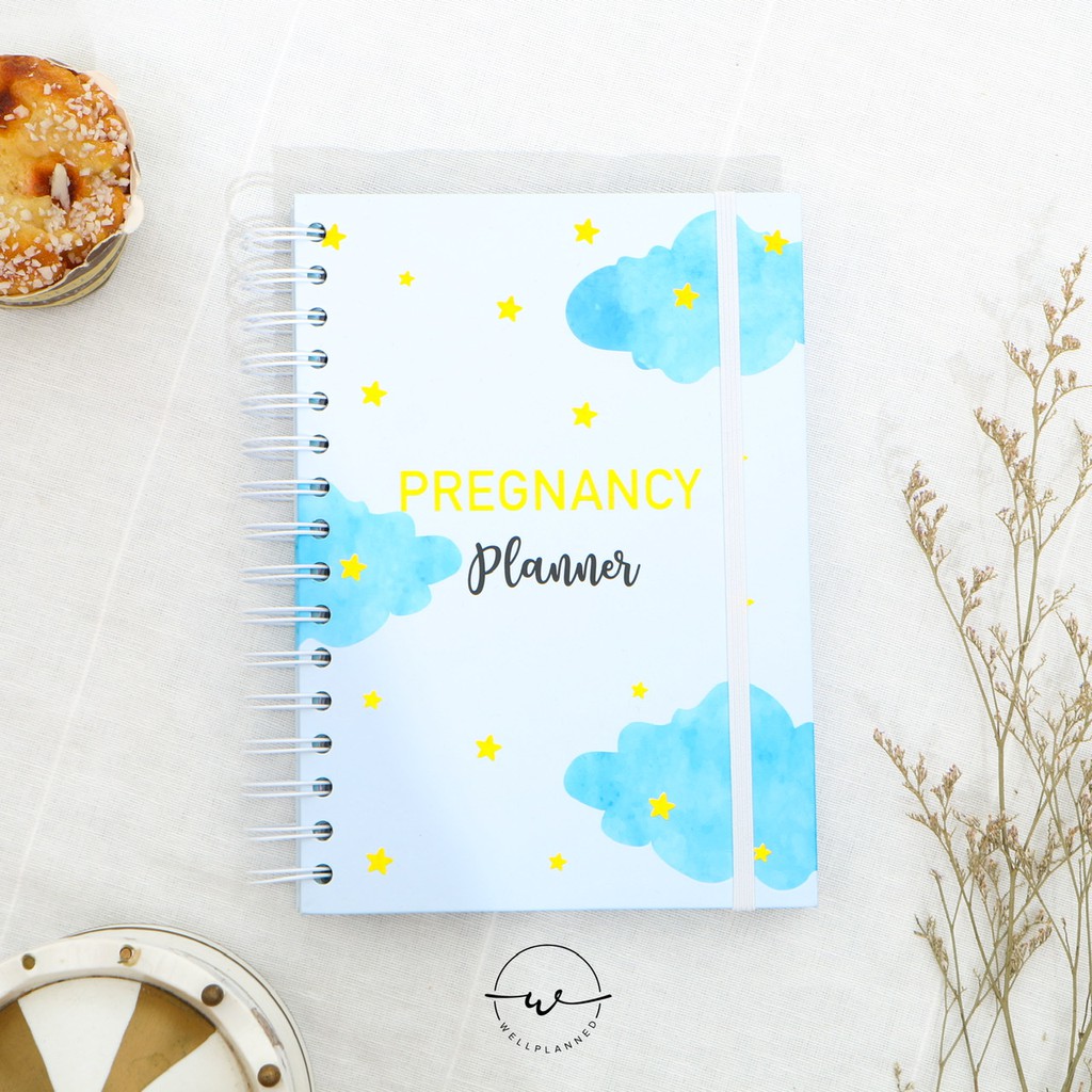 

Wellplanned Pregnancy Planner - Baby Blue