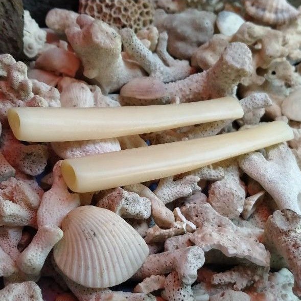 PIPA HISAP CANGKLONG TULANG SAPI IMFOR SEGI 8