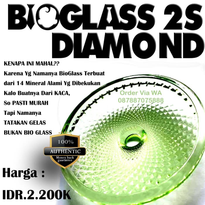 Bioglass 2+, Bioglass X