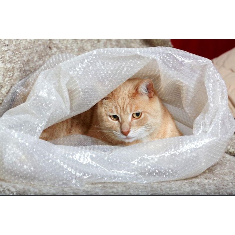 

EXTRA PACKING BUBBLE WRAP // pengaman untuk packing paket bubble wrap