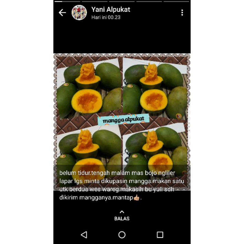 

ManggaAlpukat