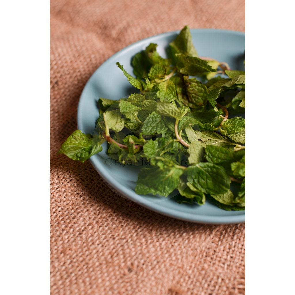 

Daun Mint Organik - Lojin Organic Store