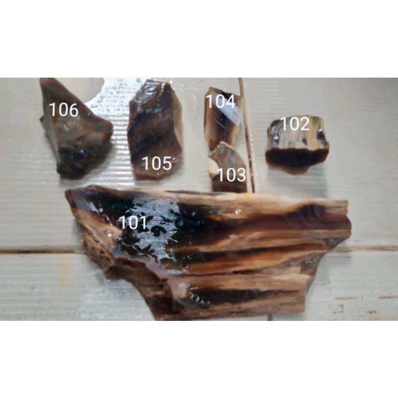 Bahan Fosil Kelor Kristal Natural (Tembus Senter) 8