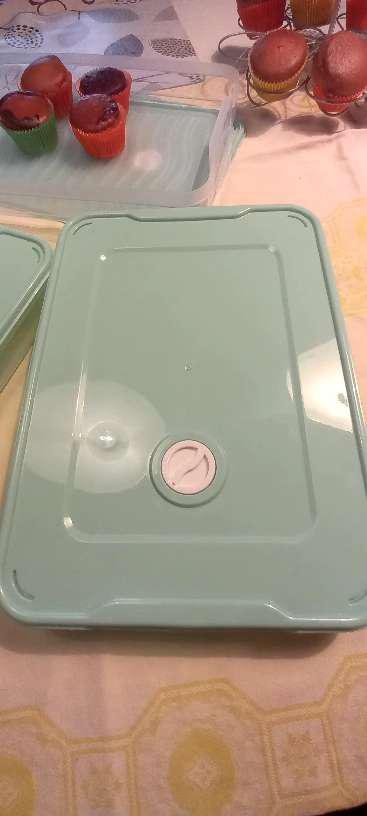 Food Container Tempat Wadah Gorengan Ada Tutup Kotak Penyimpanan Makanan Plastik Kontainer Kulkas