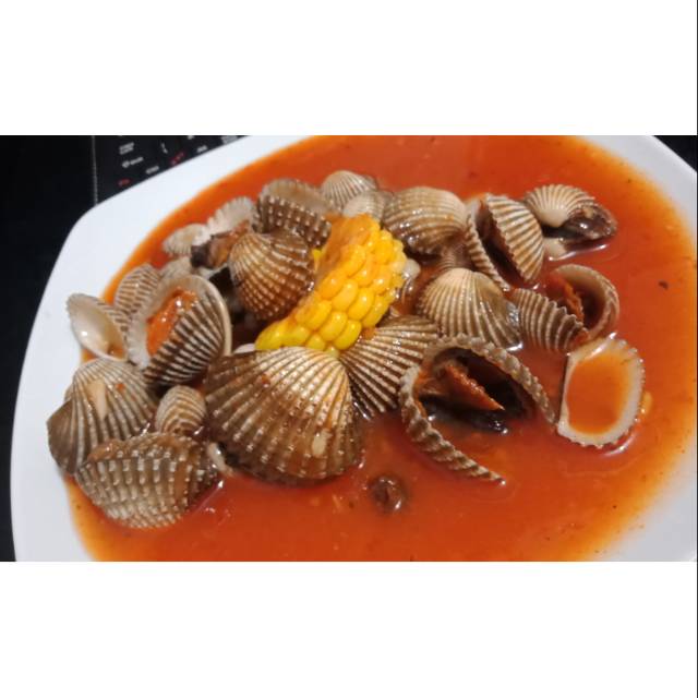 

Kerang Dara